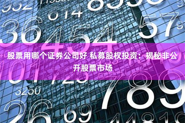 股票用哪个证券公司好 私募股权投资：揭秘非公开股票市场